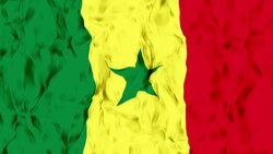 Cameroon Flag Stock Footage
