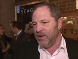 Opening Night of 'The Seagull' Stock Footage