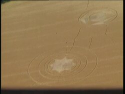 Crop circles in Wiltshire News Clip