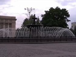 WS fountain Stock Footage