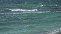 Italy,Sardinia San Giovanni di Sinis, Cabras Stock Footage