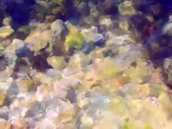 seabed Stock Footage