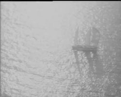 SINGLE HANDED YACHT RACE News Clip
