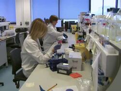 New IVF Ethics Questioned News Clip