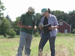 Farmer and agricultural consultant in field of GMO soybeans Stock Footage
