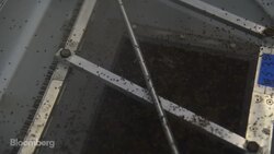 Gene-Editing Research Went Mainstream This Year News Clip