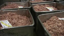 Ground meat fills stainless steel pans in a sausage making plant. Stock Footage