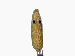 Single Corn Face Stock Footage