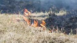 Grass burning in the field. Fire spreads after the arson. Stock Footage