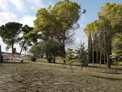 Palazzolo Acreide, view of area used to be a Greek agora Stock Footage