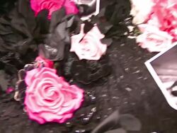 Victoria's Secret Launches Their Official Facebook Fan Page Stock Footage