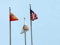 Flags Flying High Stock Footage