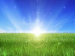 Sunrise over green field Stock Footage