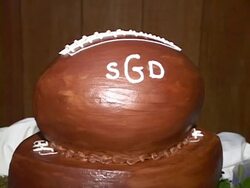 Groom's Cake Stock Footage