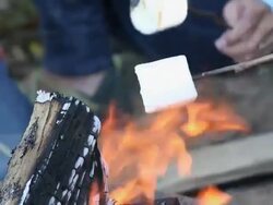ECU Family Roasting Marshmallows Over Camp Fire / Richmond, Virginia, United States Stock Footage