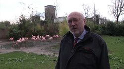 15 Flamingos killed in Frankfurt Zoo Instructional Video