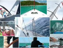HD MONTAGE: Sailing Stock Footage