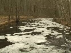 Pollution Stock Footage