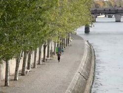 MS Shot of Seine at Port de Tuileries / Paris, Ile de France, France Stock Footage