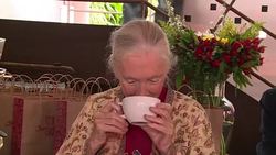 CLEAN : Zoologist Payne encourages politicians to be brave at COP21 News Clip