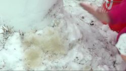 Forecasters say parts of north Alabama could receive as much as 8 inches of snow on top of 6 inches that already has fallen. (Feb. 11) News Clip