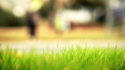 HD: Marathon Stock Footage