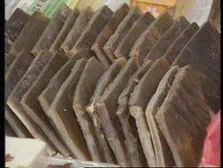 HONG KONG: TRADE IN ENDANGERED ANIMALS News Clip