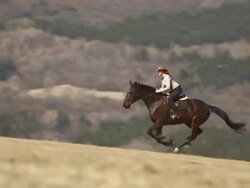 HD: Galloping Along Countryside Stock Footage