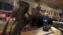 CLEAN : Strong 6.3-earthquake hits New Zealand News Clip