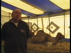 RR0249/C  Italy: Circus Crisis News Clip