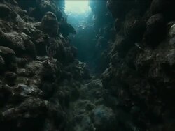 Swimming through coral channel at Honduras Bay Islands Stock Footage