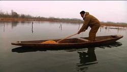 Migratory birds get food handout at nature reserve News Clip