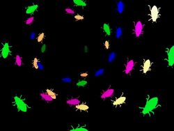 Bugs spiral walking Stock Footage