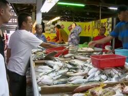 MS ZI ZO Dead juvenile hammerhead for sale on fish counter / Brunei, Brunei Darussalam Stock Footage
