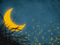 Crescent Moon and Night Landscape Serie Stock Footage