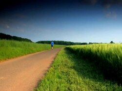 NTSC:jogging Stock Footage