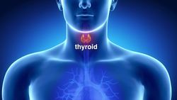 Thyroid Instructional Video