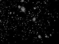 Snowfall Stock Footage