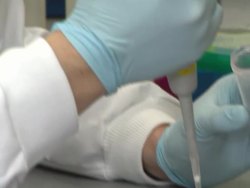 Government Defends Tax Relief Caps on Charities News Clip