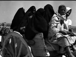 MEDITERRANEAN MISCELLANY - News Clip