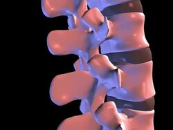 Human spine Stock Footage