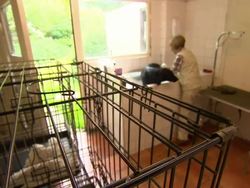 Banks Mis-sold Interest Rate Protection News Clip