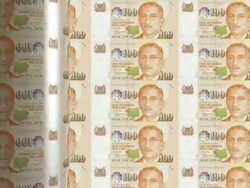 Singapore dollar printing - animation Stock Footage