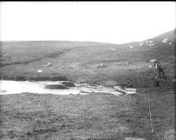 TRAINING SEALS News Clip