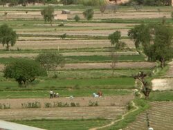 Wide of workers in field outside Cochabamba, Bolivia Stock Footage