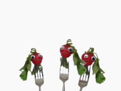 Three Radish Faces Stock Footage