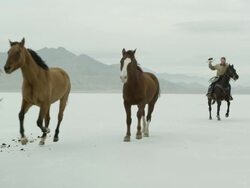 Horses running with a cowboy riding across salt flats. Stock Footage