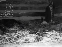 Early settler weapons. USA, 1960s Stock Footage