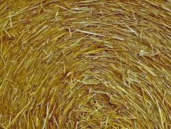 bundle of hay Stock Footage
