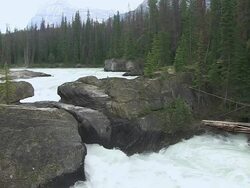 MS Shot of Natural Bridge / Yoho Nationalpark, British Columbia, Canada Stock Footage